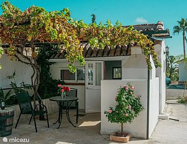 Huisje 12 m2 buitenkeuken en terras