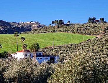 Casa Metaverdi