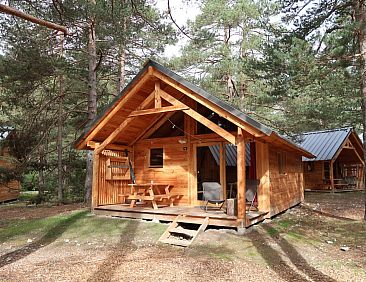 Montana Vista Chalet