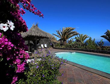 Appartement Casa Roco III