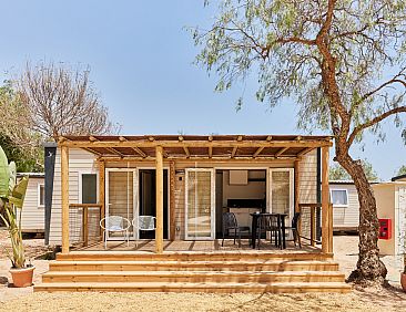 Bungalow Premium Agave