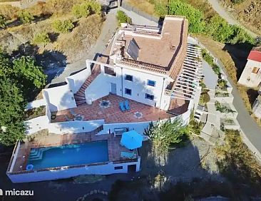 Algarrobo Azul