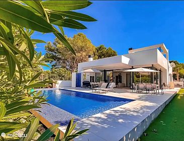 Casa Strelitzia