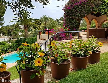 Villa Pomelo