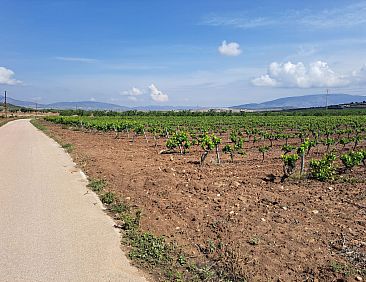 Kavel in Pinoso