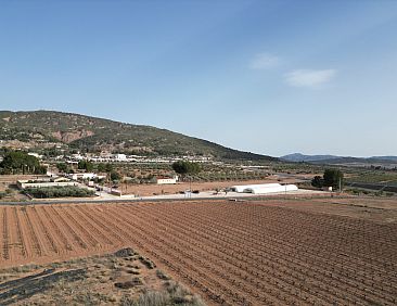 Kavel in Pinoso