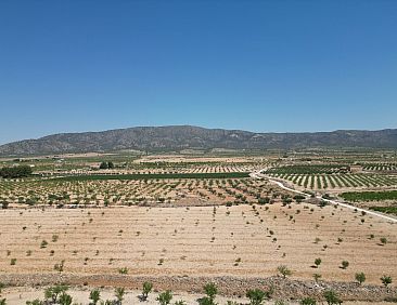 Kavel in Pinoso