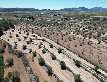 Kavel in Pinoso