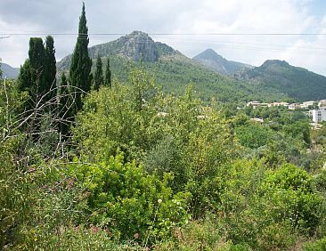 Kavel in Orba