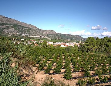 Kavel in Orba