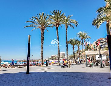 Appartement in Torrevieja