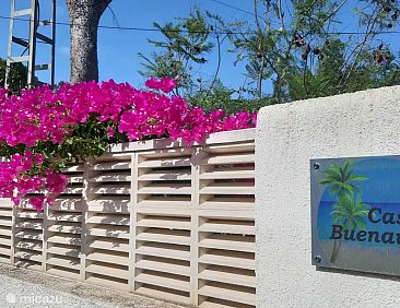 Casa Buenavista