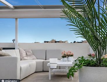 Penthouse in San Miguel