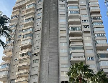 Olivar 2