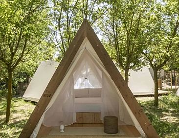 Cabin Tent