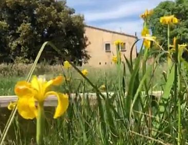 Vakantiehuisje in navata