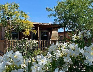 «Els Pins- Mobile-Home Plus 3»