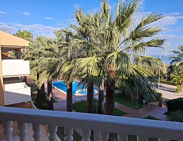 Appartement Wohnung Stella, 1. Reihe Meerblick und Palmen