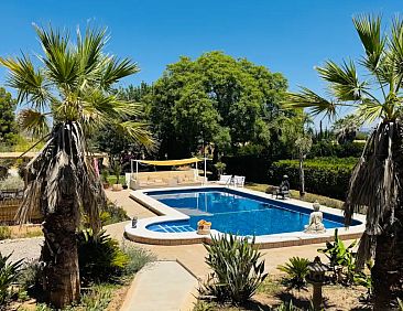 Casa Pájaros