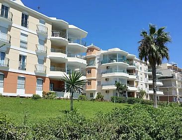Wild Palms Apartment