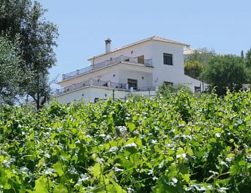 Vine Ridge-appartement