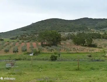 Finca El Chorrillo Studio