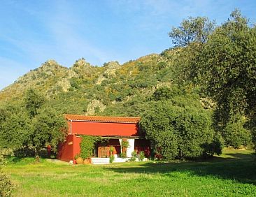 Vakantiehuis The Barn at Finca al-manzil