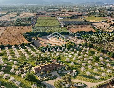 Vrijstaande woning in Binassilem