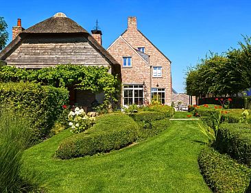 B&B Vinedo