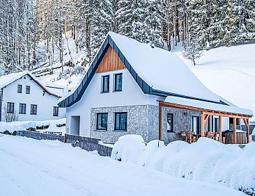 Vakantiehuis Vilém