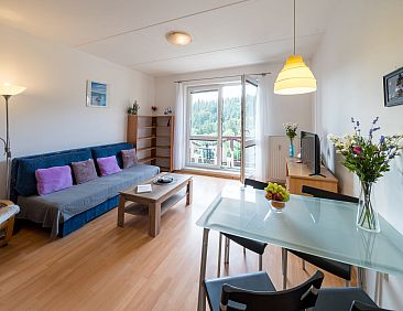 Appartement Sluneční stráň IV