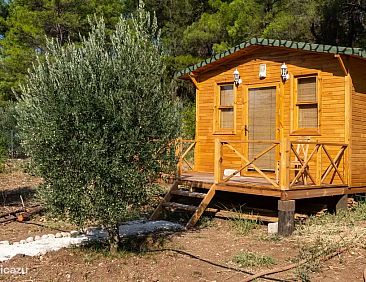 Tiny house