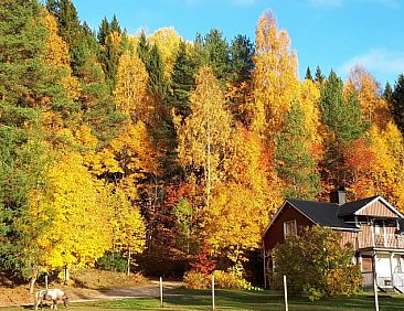 Vakantiehuisje in Eksharad