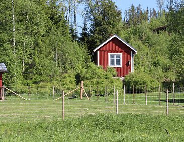 Vakantiehuis in Östra Ämtervik