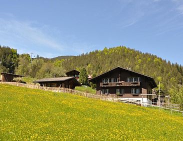 Appartement im Chalet Adelheid