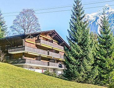 Appartement Chalet Bodmisunne
