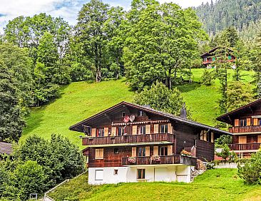 Appartement Chalet Blaugletscher