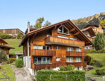 Appartement Goldenhorn Apt.S