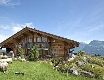 Appartement Charmante Ferienwohnung Murmeli