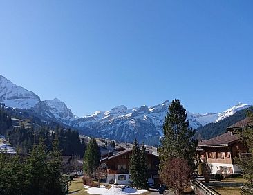 Appartement Chalet Wittebärg