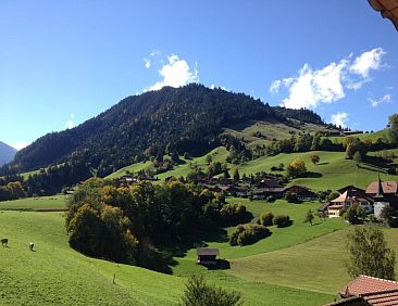 Appartement Chalet Ried