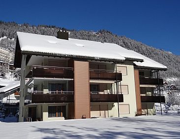 Appartement Blumenweg 8