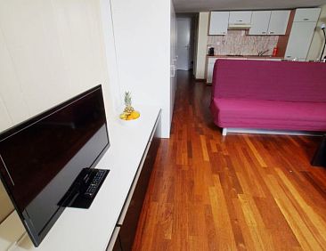 Appartement ZH Limmat 5 - HITrental Apartment