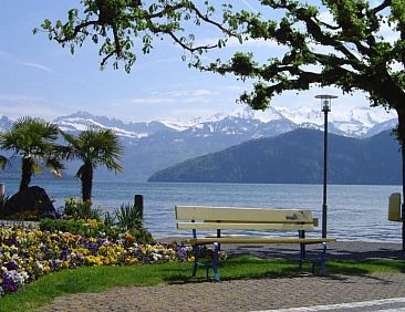 Appartement Studio "Rubi" Weggis