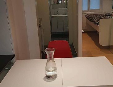 Appartement FW Bacheggli