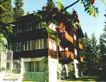 Appartement Chalet Suveran 1 Appartement/Fewo, Bad, WC, 6-Be