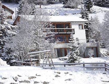 Appartement Drei 1/2 -ZiWohnung