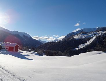 Appartement Chasa Quadra, (Tarasp).
