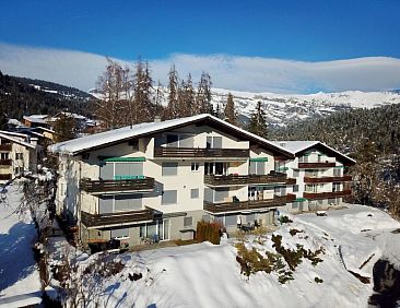 Appartement Pignia 2 / Greulich, (Laax Dorf). 3 Zimmerwohnun