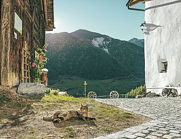 Appartement Agrotourismus Pütschai Josom, (Sta. Maria - San